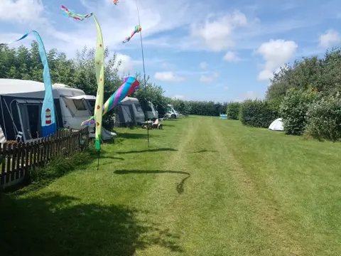 Centraal gelegen boerderijcamping met melkvee