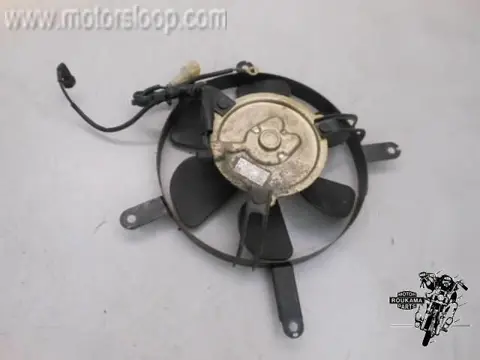 Honda CBR1100XX(SC35) Koelvin