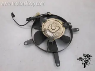 Honda CBR1100XX(SC35) Koelvin