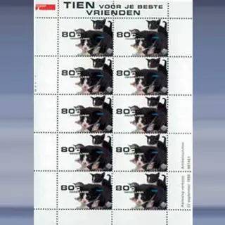 Tien voor je beste vrienden (1998)