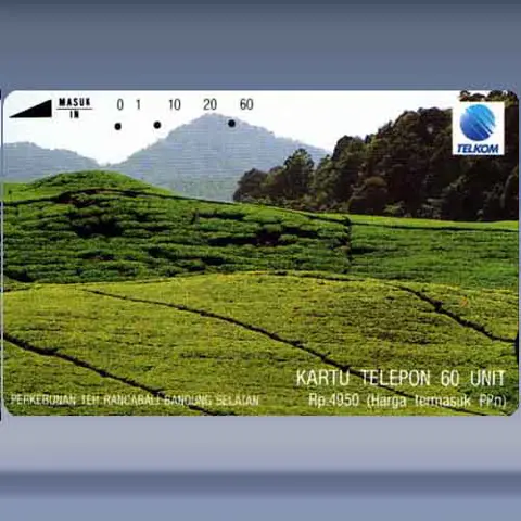 Perkebunan Teh (1993)