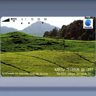 Perkebunan Teh (1993)