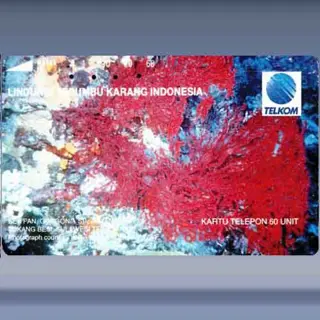 Taman Laut Tukang (1993)