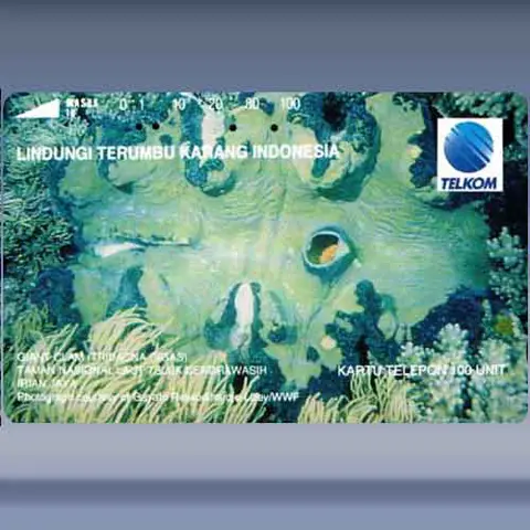 Tridacna Gigas (1994)