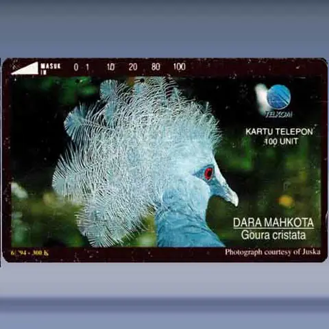 Goura Cristata (1994)