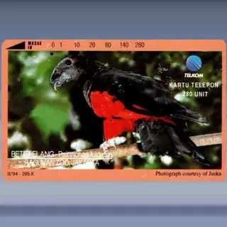 Psittrichas Fulgidus (1994)