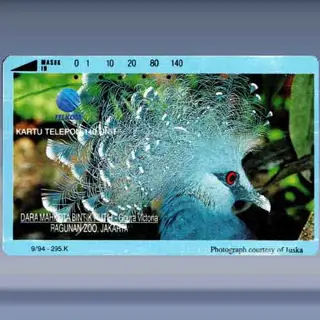 Goura Victoria (1994)