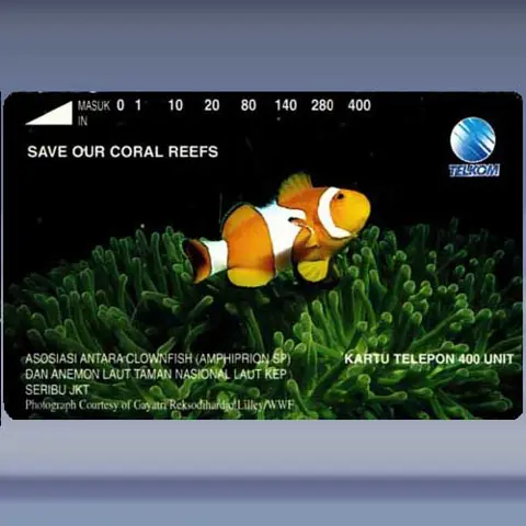 Asosiasi Antara Ikan (1994)