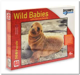 Zeeleeuw pup - Jumbo - 50 Stukjes