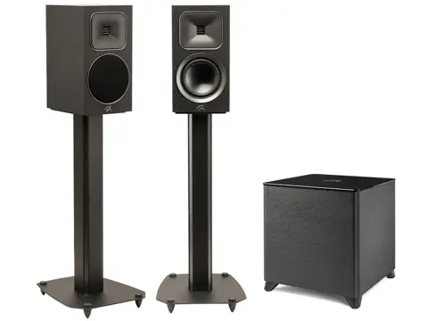 MartinLogan Foundation B1 - Dynamo Foundation 10 bundel