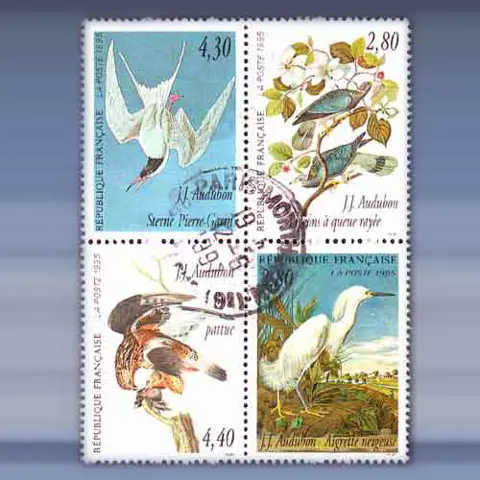 Vogels (1995)