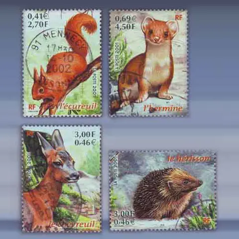 Fauna (2001)