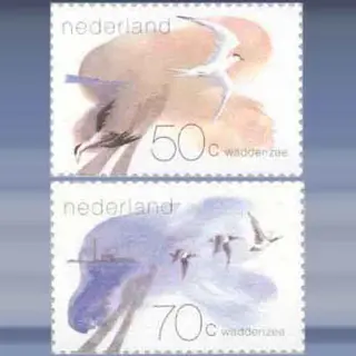 Waddengebied (1982)