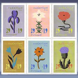 Bloemen en kunst (2004)