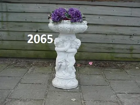 Gruppo carpi plantenbak.