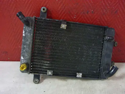 Radiator Suzuki Burgman 400 1998 - 2000
