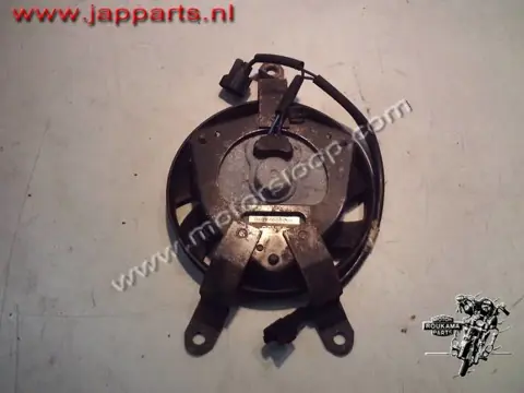 Suzuki AN400 Koelvin