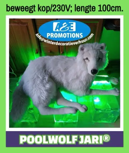 Poolwolf bewegend wintersprookje verhuur arnhem