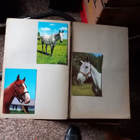 kaarten, paarden - 25 verschillende