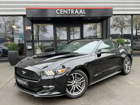 Ford Mustang Fastback 2.3 EcoBoost 310PK|Stoelkoeling/Verwarming|Navi|PDC|Android-auto