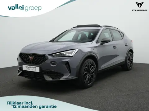 CUPRA Formentor 1.4 e-Hybrid 245 pk DSG VZ Tribe Edition | Panoramadak | Trekhaak | Leder/alcantara 
