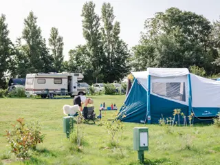 Kamperen op een sfeervolle schapenboerderij