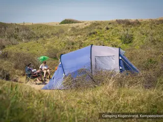 Kamperen midden in de Texelse duinen bij het Noordzeestrand