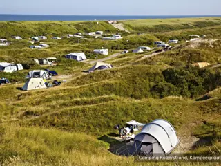 Kamperen op prachtige plek midden in de Texelse duinen in De Koog
