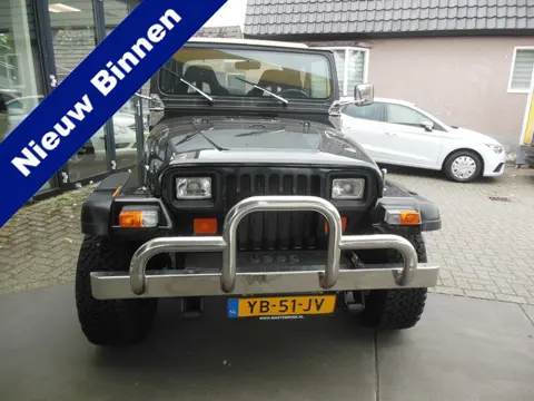 Jeep Wrangler 2.5 Hardtop Staat in de Krim (bj 1990)