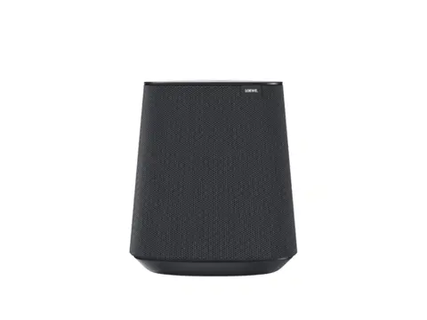 Loewe Klang mr1 multiroom speaker