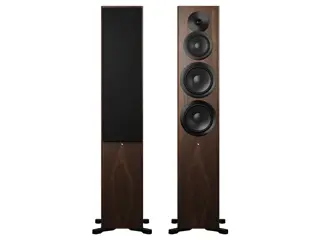 Dynaudio Focus 50 vloerstaande speaker walnut wood
