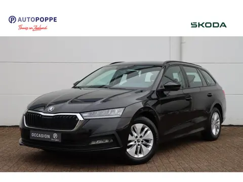 Skoda Octavia Combi 1.0 TSI | Ambition | 110pk