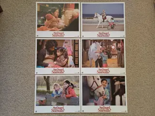 WAAR IS HET PAARD VAN SINTERKLAAS ? lobbycard set.