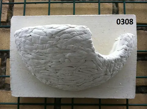 Vogel nest voor Zwaluwen.