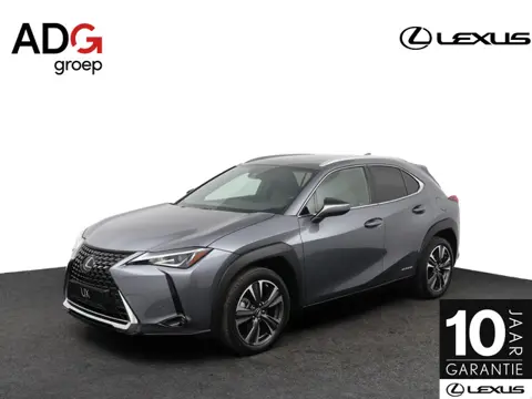 Lexus UX 250h Business Line | 18 Inch Lichtmetalen velgen | Privacy Glass | Keyless Entry
