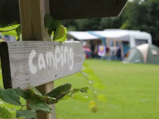 Ontwaken met geluiden van de natuur op deze camping bij De Cocksdorp