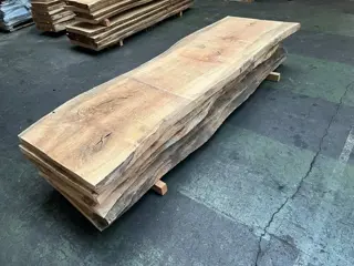 Gedroogd Eiken Boomstambladen