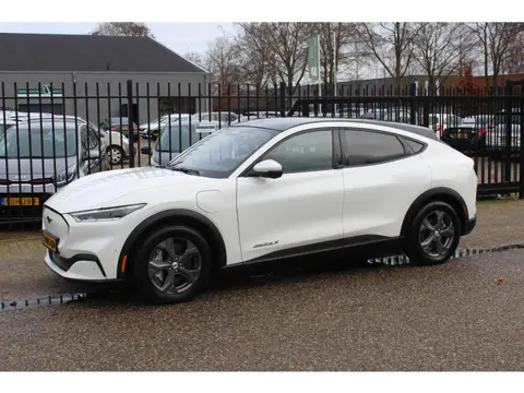 Ford Mustang Mach-E Extended RWD 98 kWh, SOH 93.5, Panoramadak, Leer!