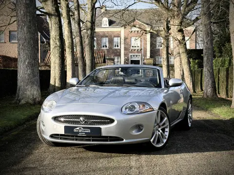 Jaguar XK 4.2 V8 Convertible / YOUNGTIMER / FULL SERVICE FILE / XK SPECIALIST