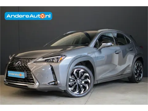 Lexus UX 250h Executive Line |nieuw onderhoud|President Pack|pano|leder|dealer onderhouden|360 camer