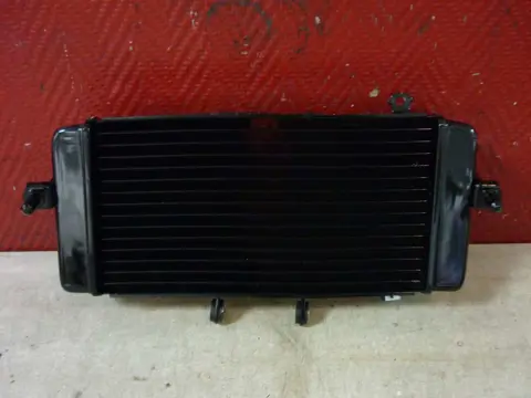 RADIATEUR Suzuki GW 250 Inazuma 2013 - 2014