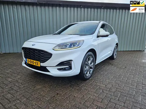 Ford Kuga 2.5 PHEV ST-Line Navi Camera Stoelverwarming