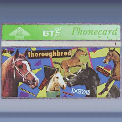 Youth series, Horses (1993)