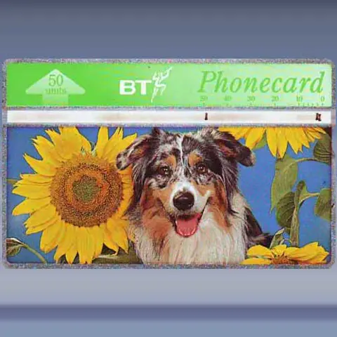 Spring in the air (2)