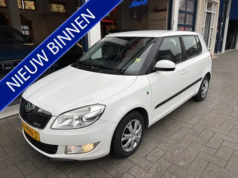 Škoda Fabia 1.2 TDI Greenline 1 EIGENAAR/NW APK 1-2027
