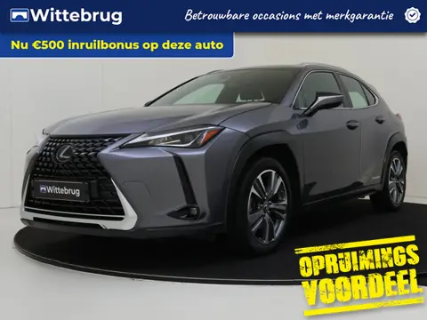 Lexus UX 250h Business Line NOW OR NEVER DEAL!!!!!