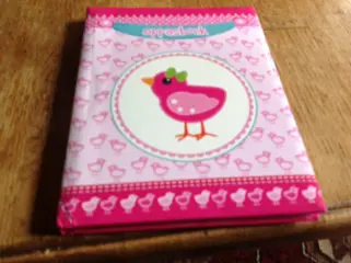 Mijn kinderdagverblijfboek/ oppasboek