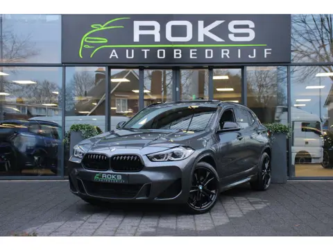 BMW X2 xDrive25e High Executive M-Sport Shadowline/Harmankardon/Headup/Keyless/Leder/Panoramadak
