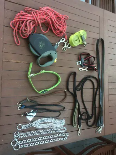 Honden halsbanden leibanden oprolkoord FLEXI XL extra