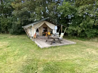 Compleet ingerichte safaritent in je eigen boomgaard